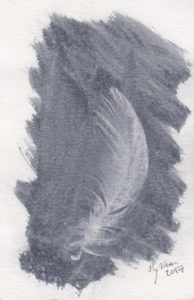 Feather_Collection_17
